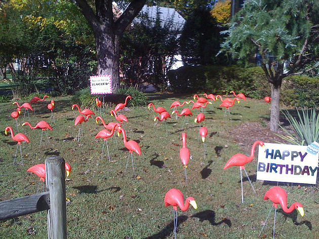 240055_8d5702689aee43478a6ee6607a6598ab~mv2