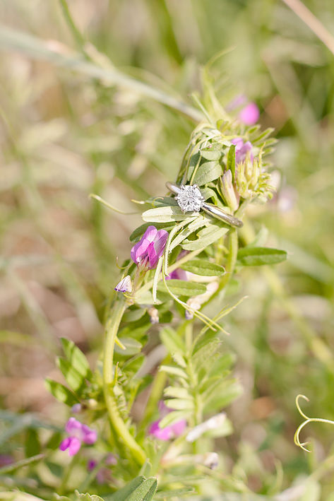 240055_b071d7e60bf34c3da1730fdf25859950~mv2_d_2253_3379_s_2